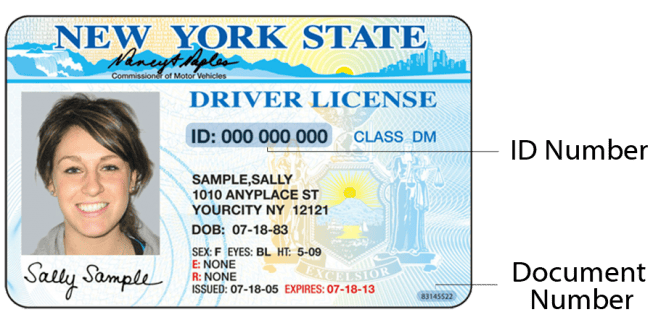 new york state driver's licence document number