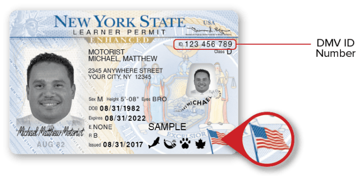 Driver's license ID number sample from NY DMV